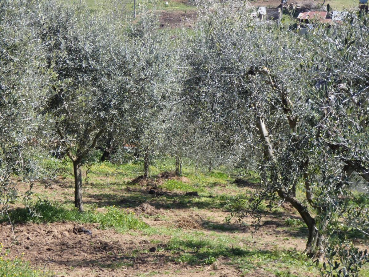 I Due Melograni Agriresort Tarano Dış mekan fotoğraf